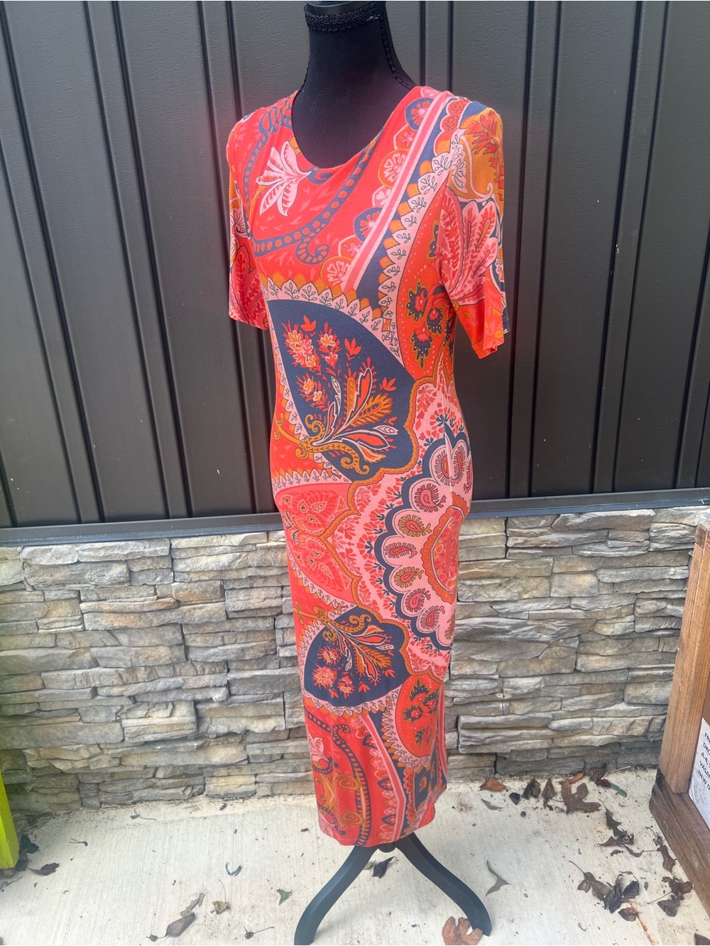Anthropologie FARM Red Paisley Maxi Dress
